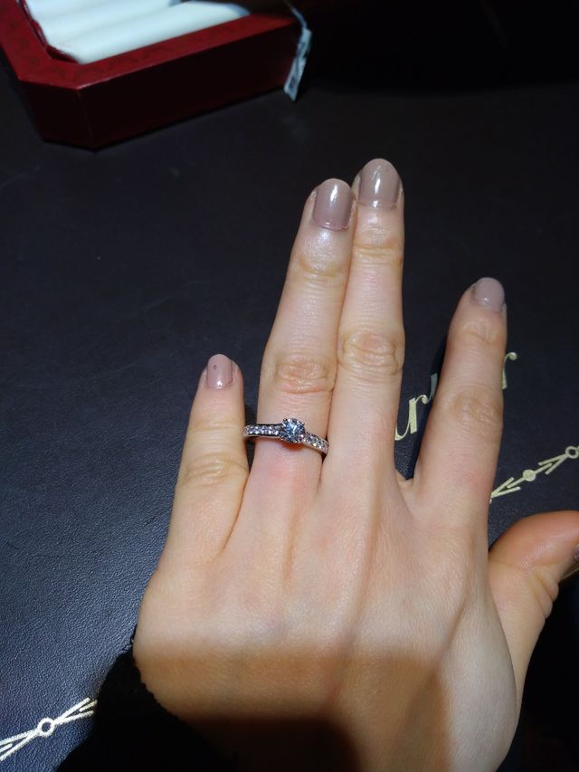 カルティエ、1895、パベ付き