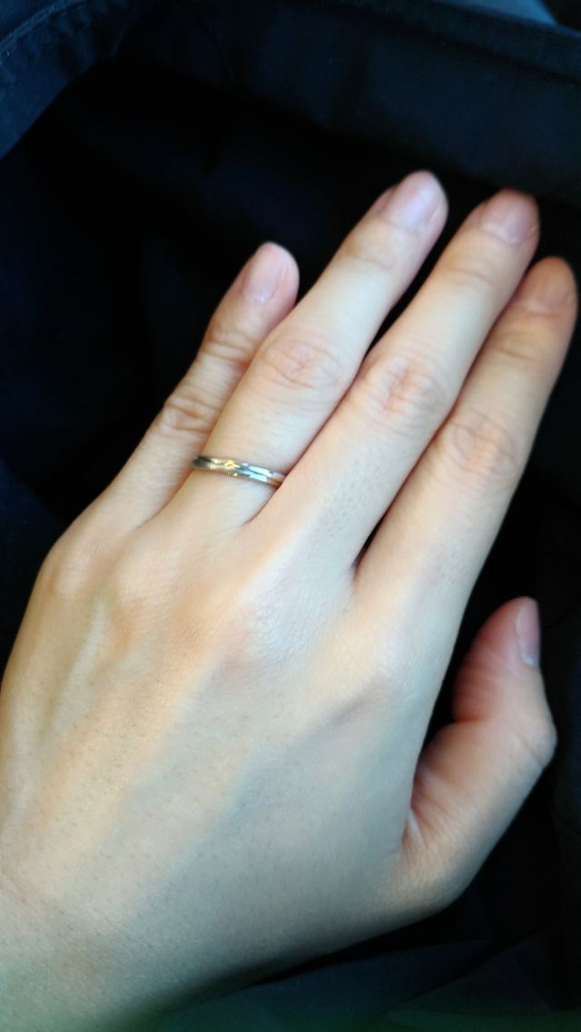 シンプルで邪魔をしないデザインです。