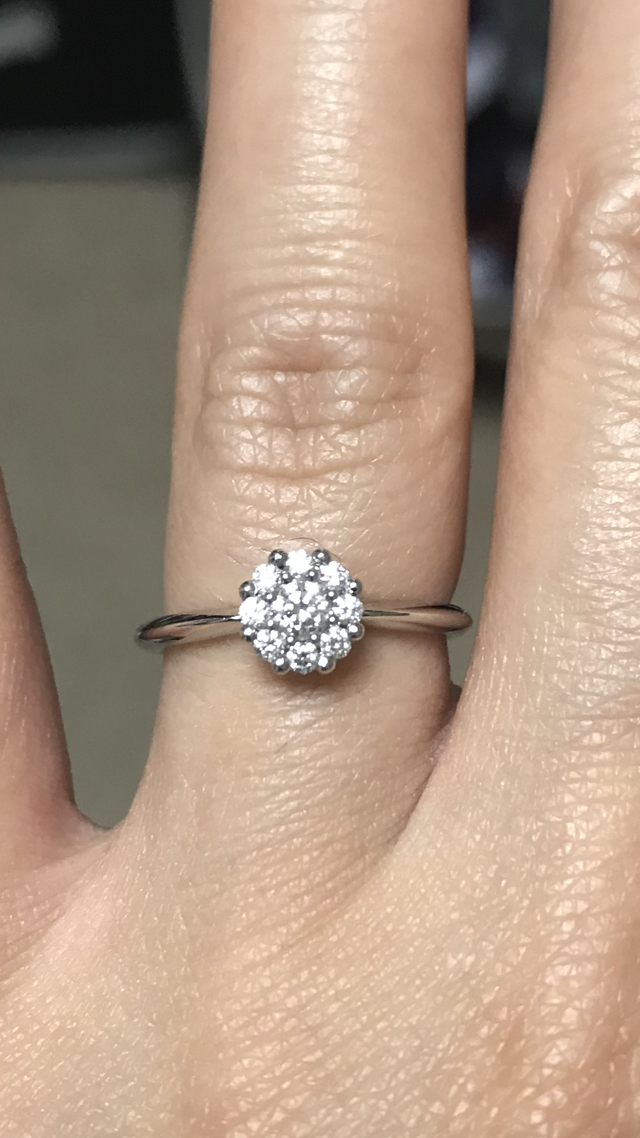 ハピネスクラウンⅢ