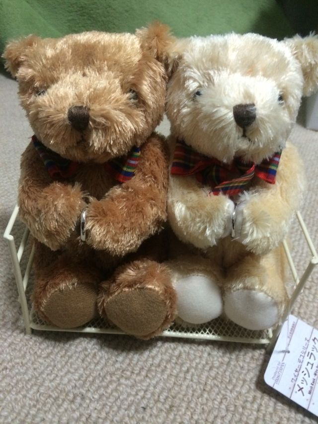 購入特典の手に指輪をはさめるディアベア