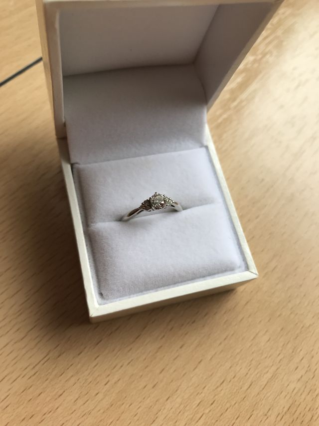 購入時のリングピローにはめた写真