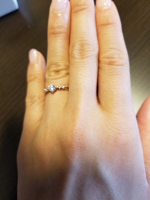 装着するとこんな感じ。