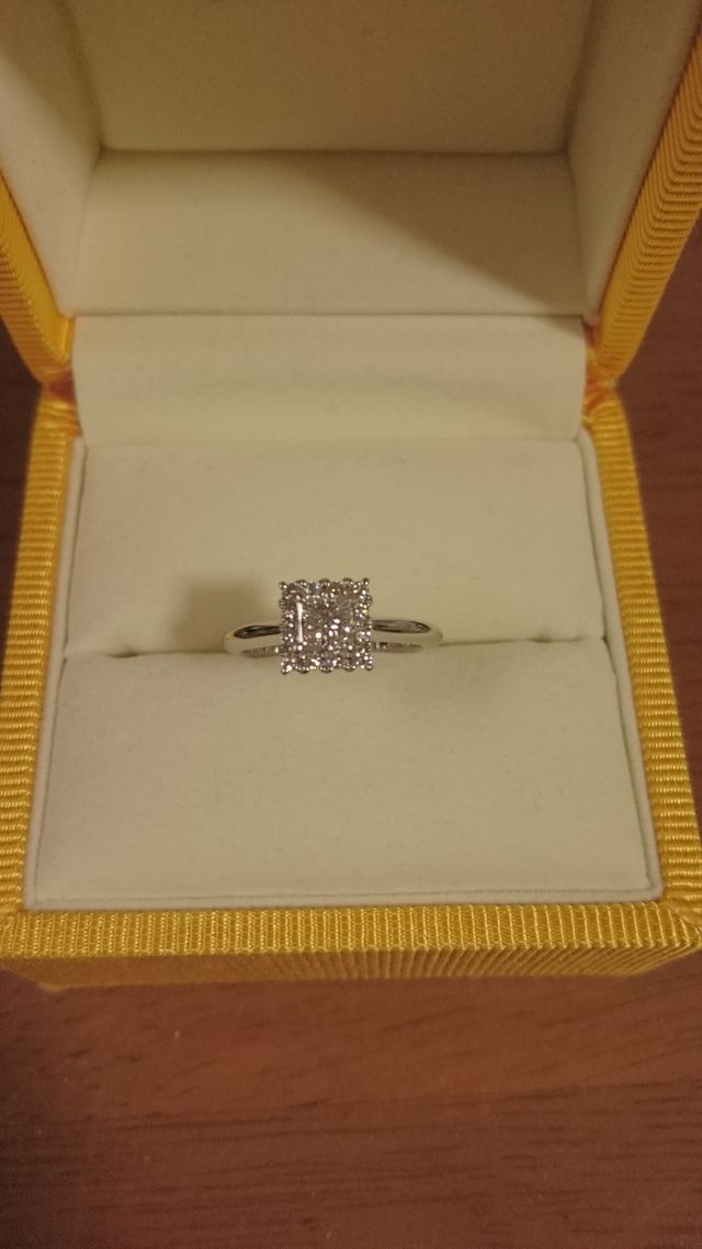 ケースに入れ上から見た時の写真