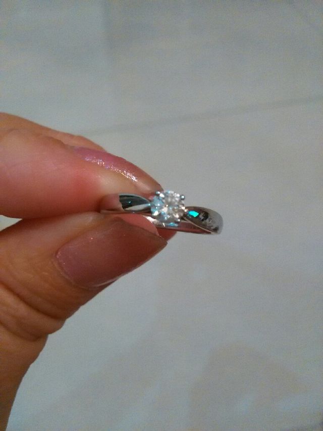 上から見た写真