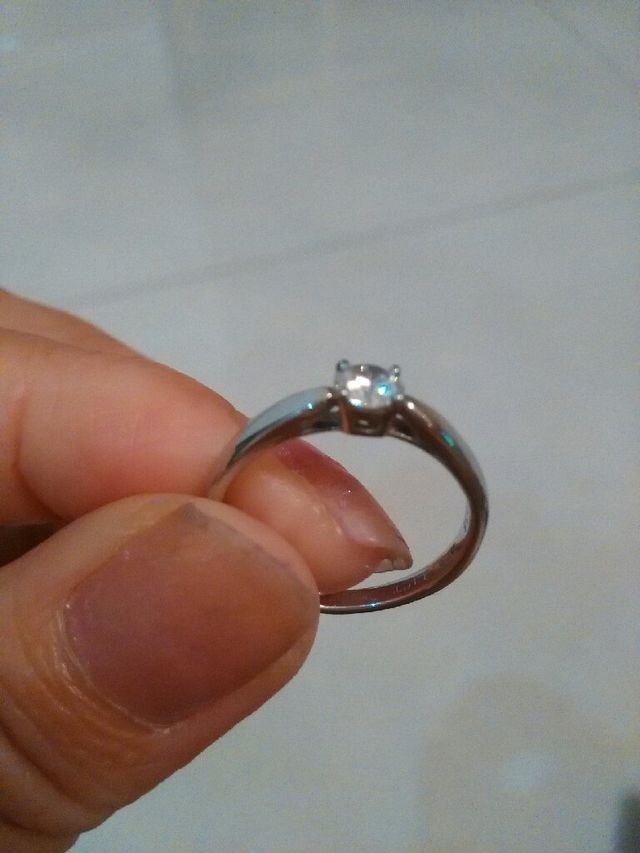 横から見た写真