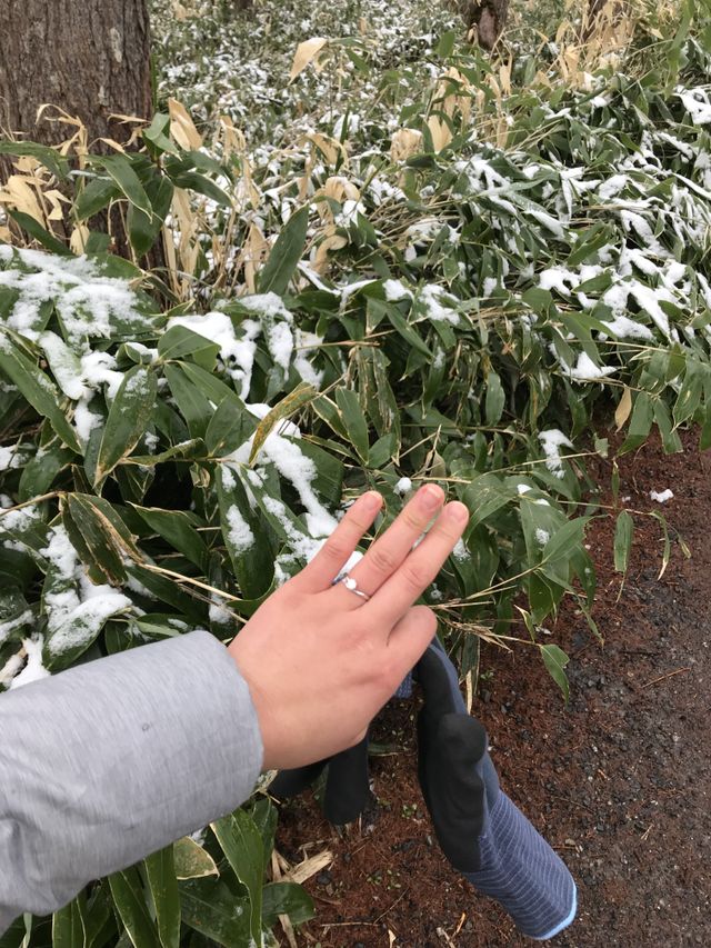 上高地の星空の下で頂きました