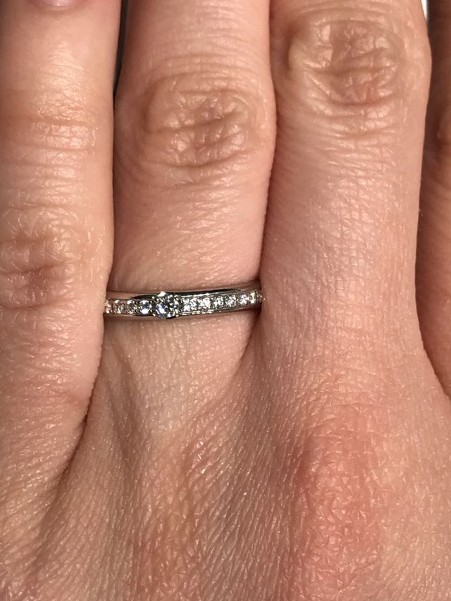 少し寄った画像です。