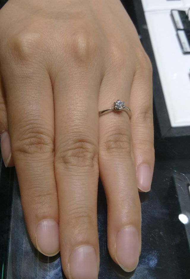 前から見た様子