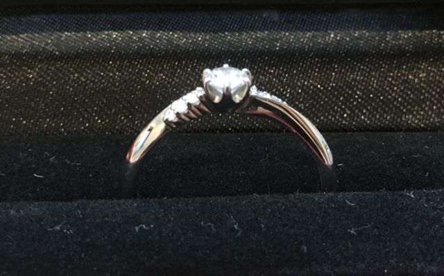 横から見るとかぼちゃの馬車になっています