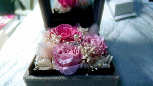 ビジュピコ aria