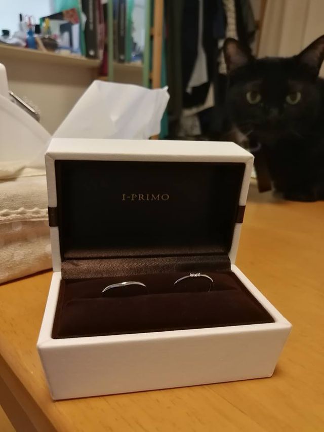 指輪オープン！