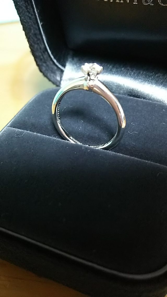 少し斜め上から撮りました。