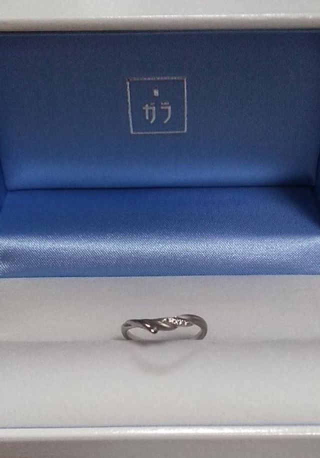 涼しげなケースにそよ風が通るウィング系リング