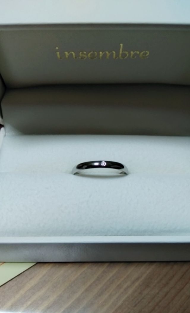 insembreのINS04DPT.INS04NPTを購入。