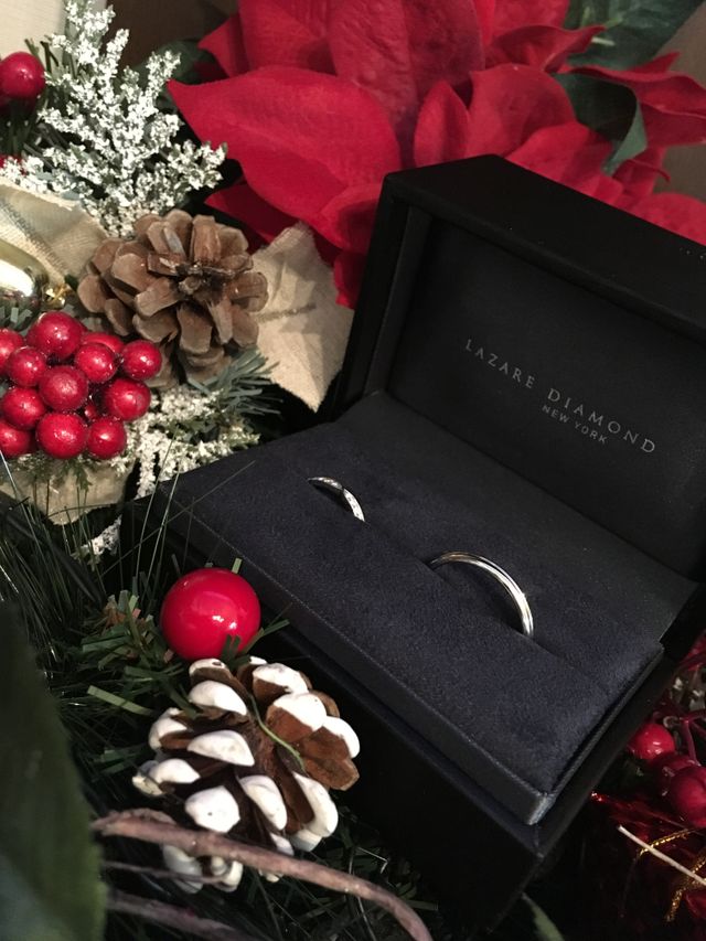 自宅のクリスマスデコレーションに埋めてみました