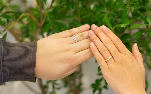 写真は全て購入店fuligo shedさんより