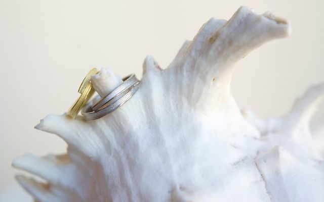 葉っぱの重なり方がそれぞれ異なります。