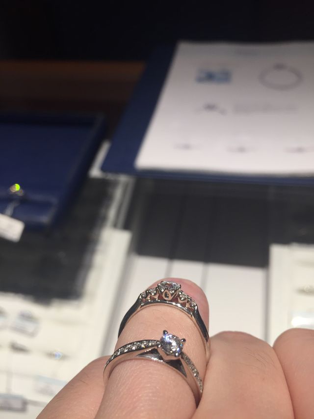 上がブーケメリア、下がディアナDのサイドビュー