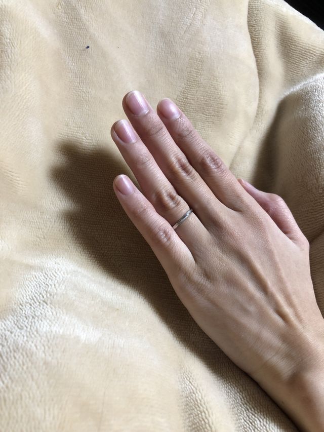 全体の写真です。