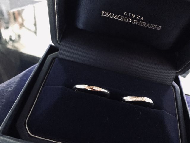 2018年春の新作 Starry