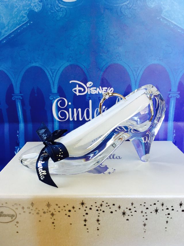 可愛いプリンセスのデザインで気にってます。