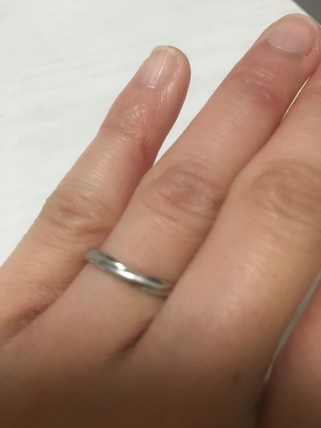 着用画像です。