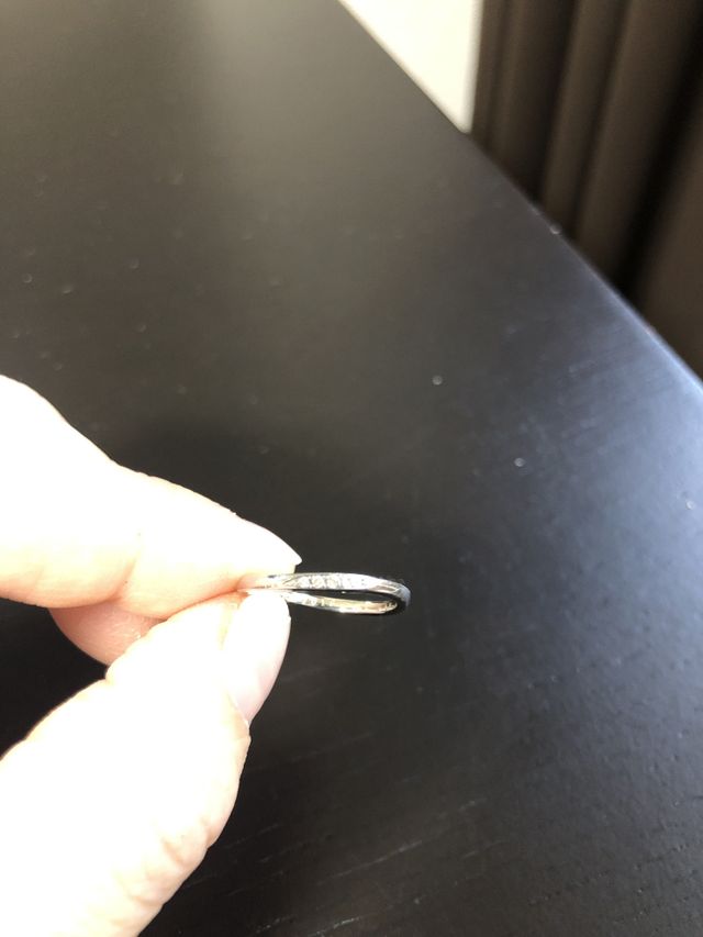 キラキラしていてます。