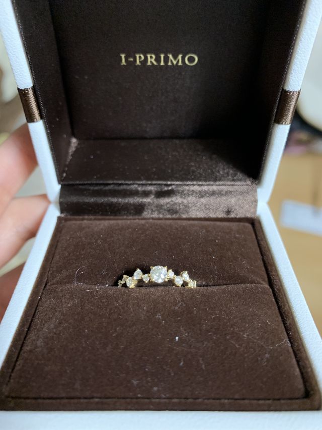 付属のリングケースに入れています。