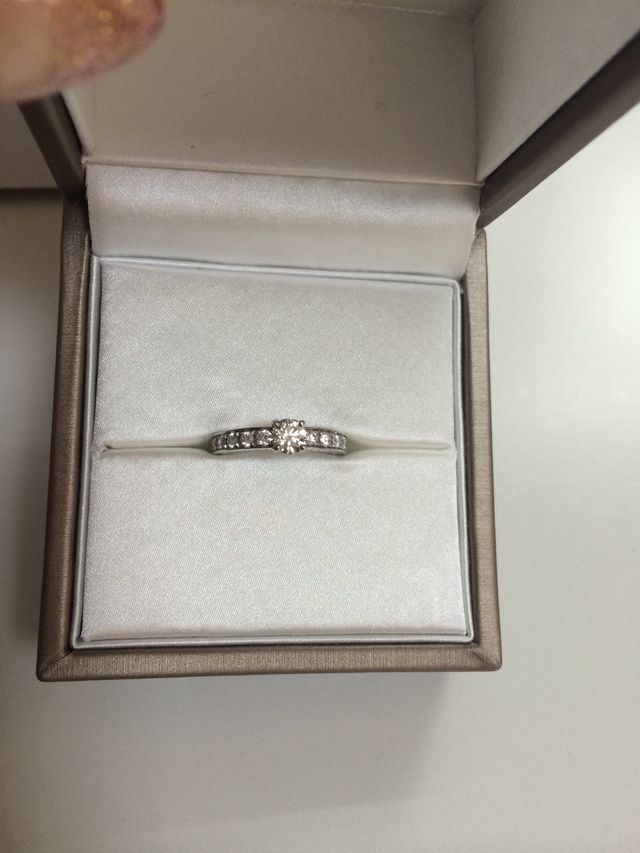 ブルガリです。