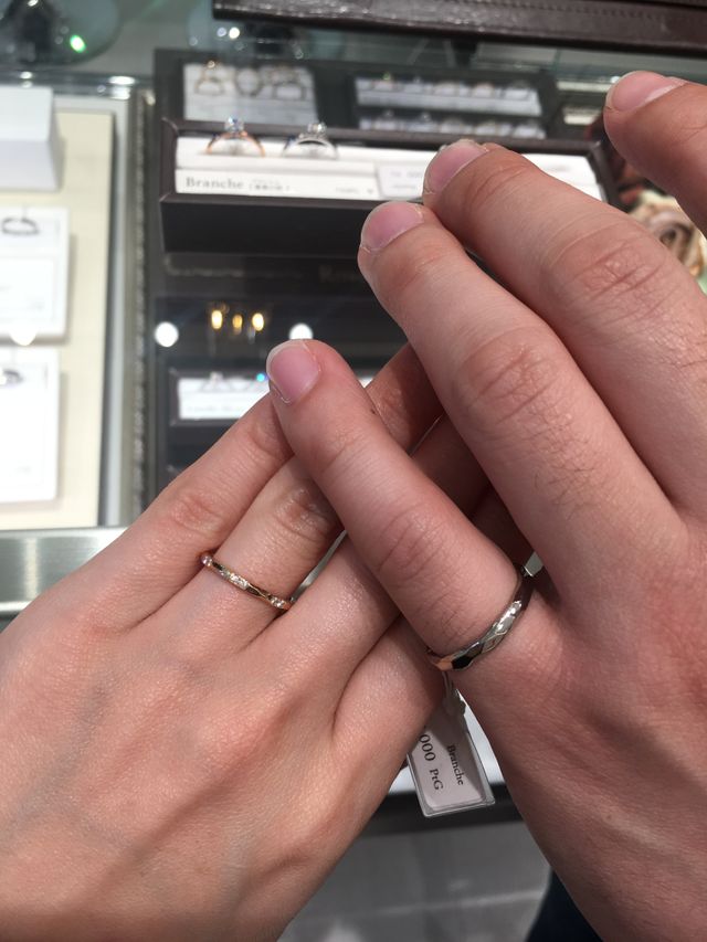 ブランシュ 薔薇の梢
試着