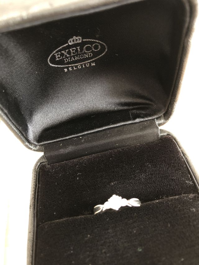 購入時のケースに入れた写真です。