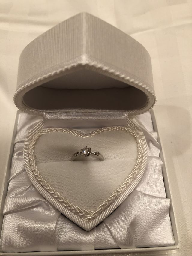 ケースは5種類から選べました