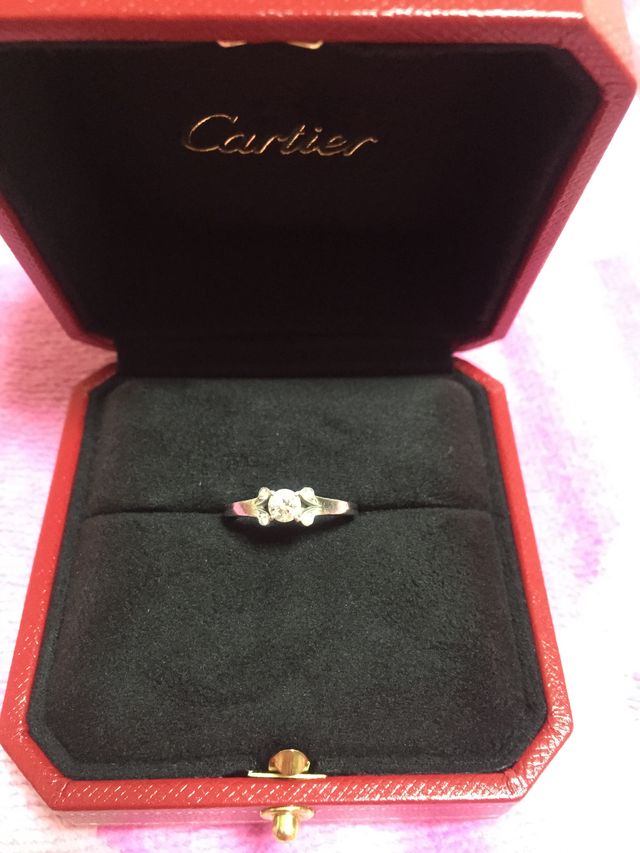 箱に入った状態