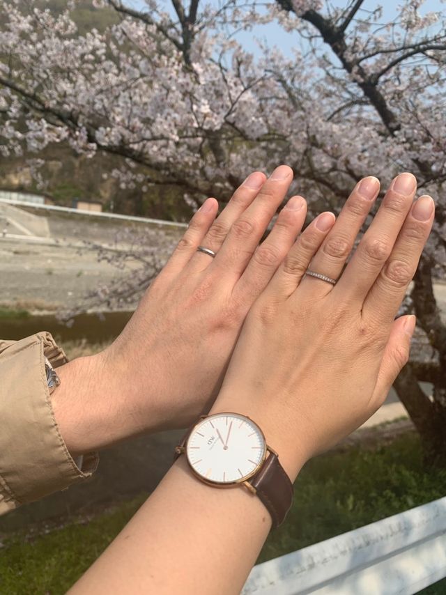 桜をバックに結婚指輪をパシャリ