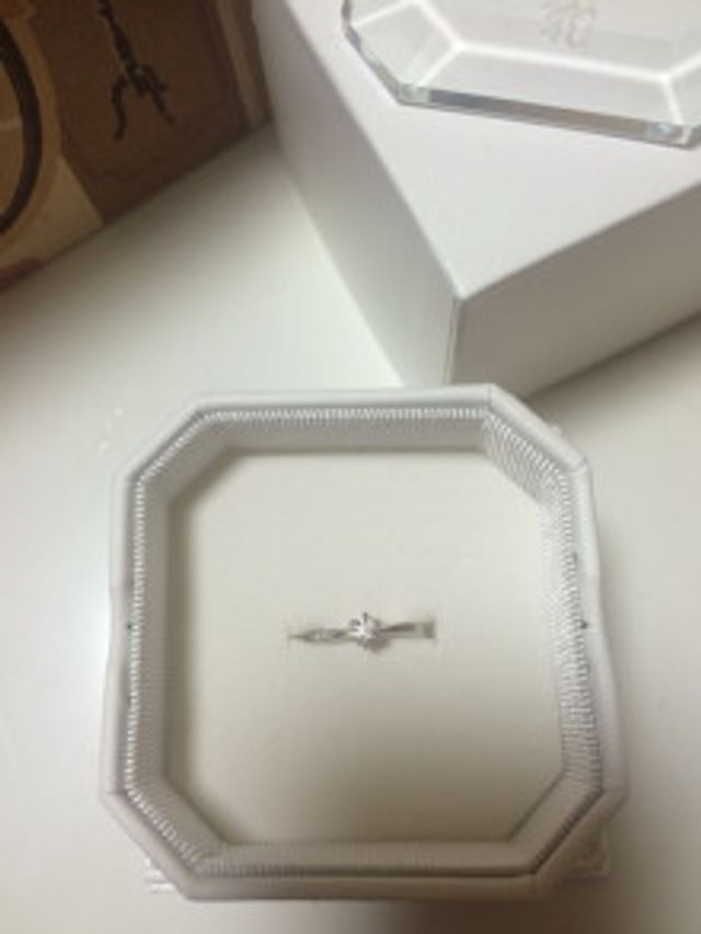 ケースに入れて撮った写真です。