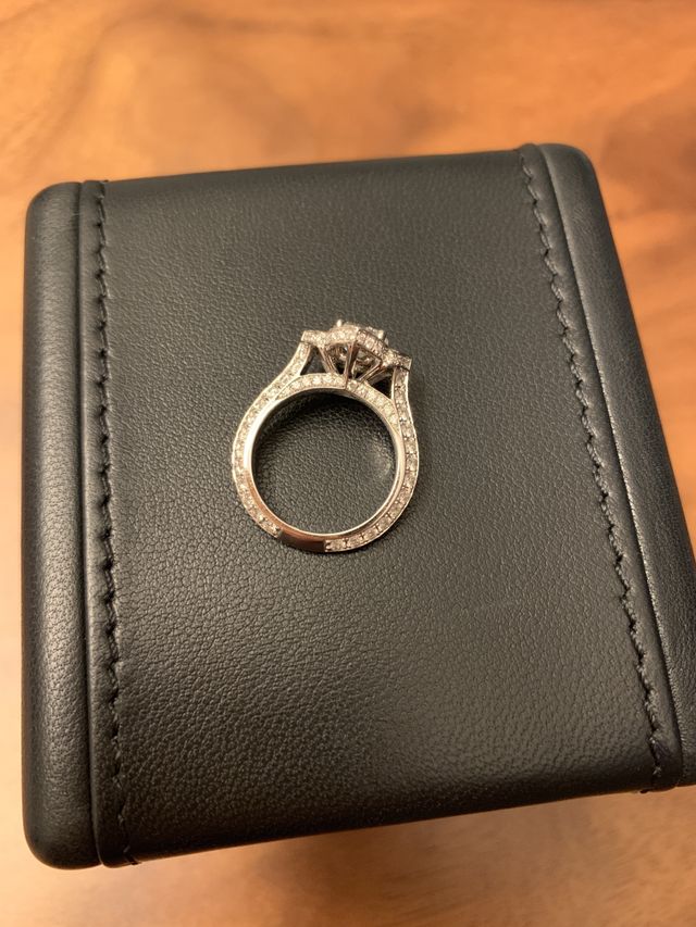 横から見てもダイヤがびっしりです