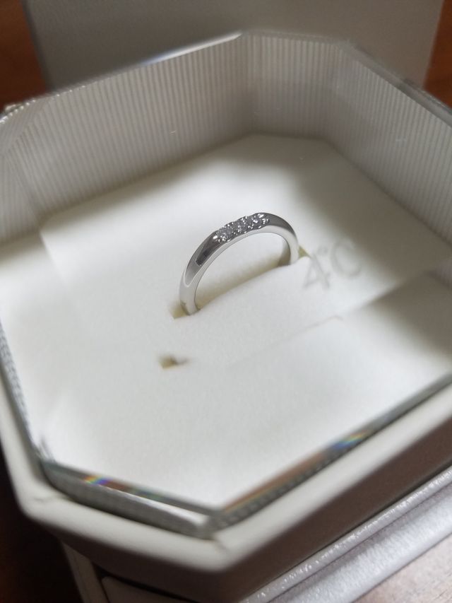 特典で付いてきたケースと一緒に