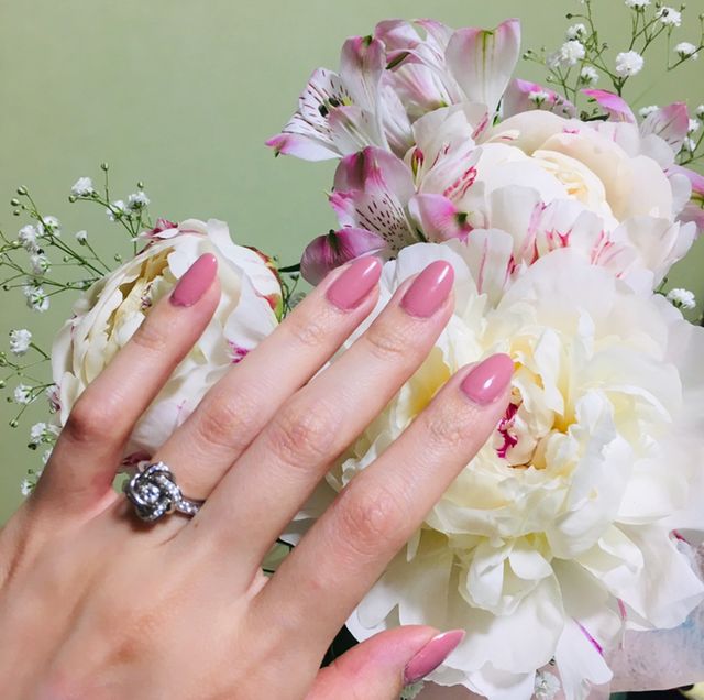 大好きな芍薬と