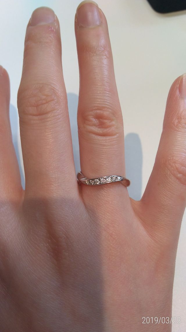 シェルビーナスの多石タイプのほうです。