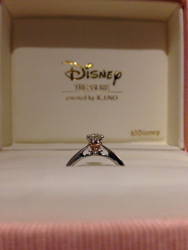 美女と野獣デサイン