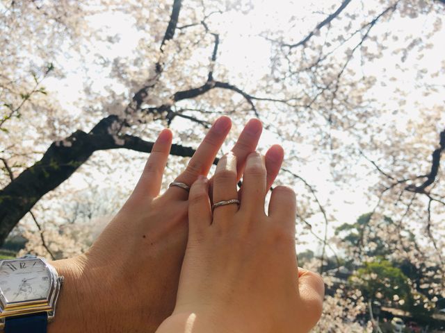 桜の時期に入籍。入籍日から付け始めました。