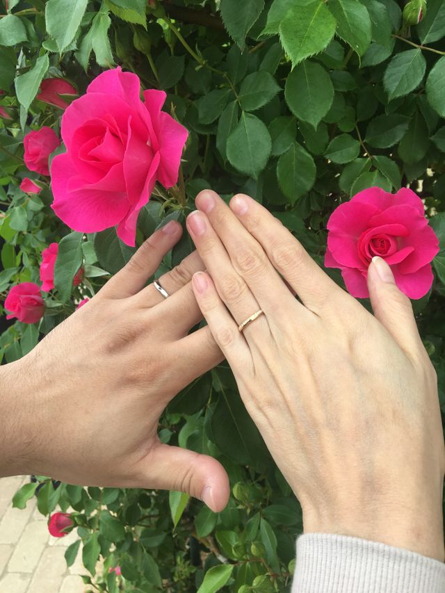 受け取りの翌日の写真です。