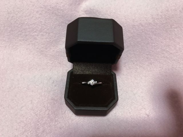 購入時に撮影したもの。