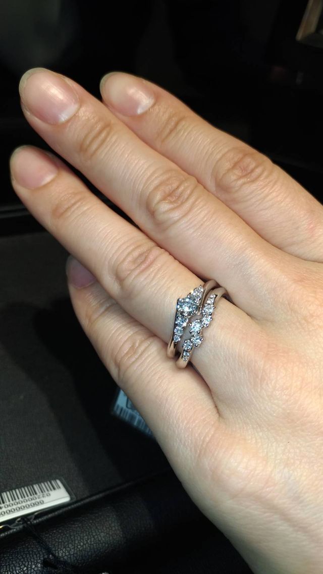 ワイルドローズのセット