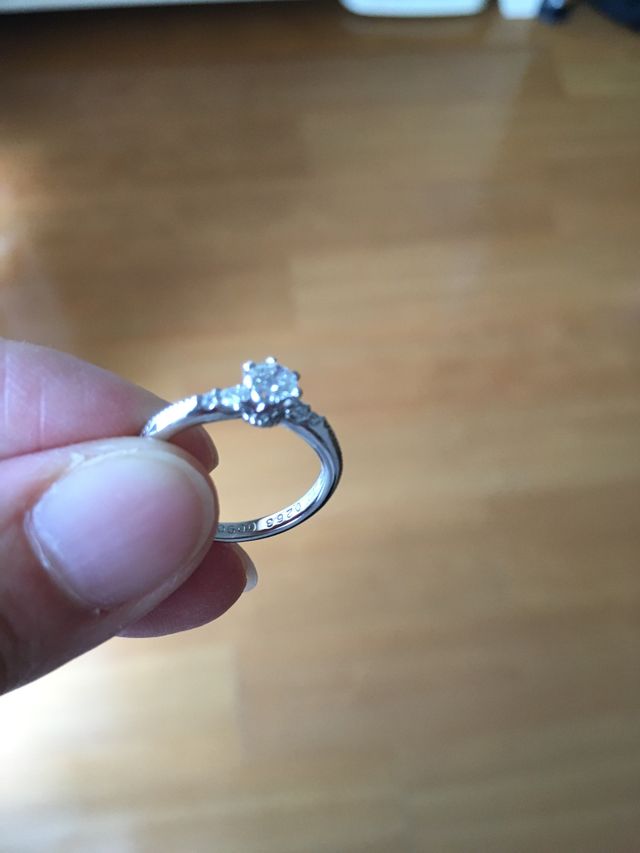 ザンドリヨンは、フランス語でシンデレラという意味だそんです。