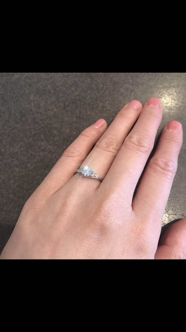 メレタイプです