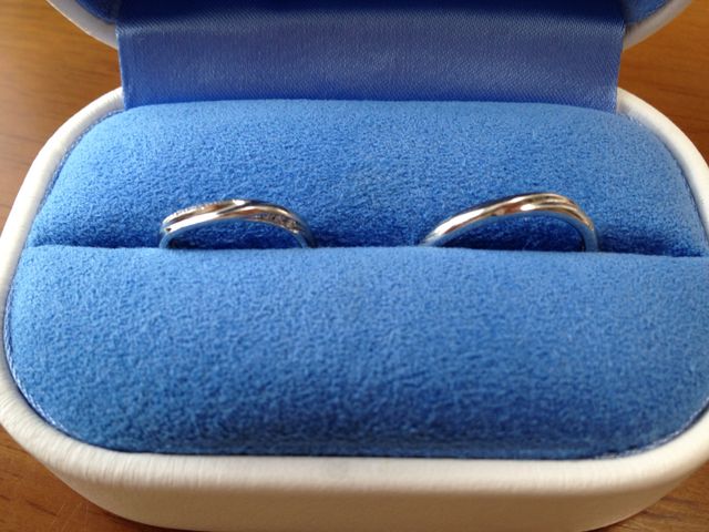 横から見たところ