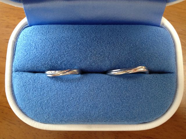 上から見たところ