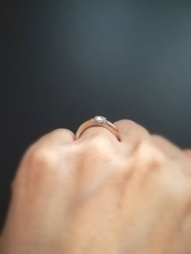 横から見た様子