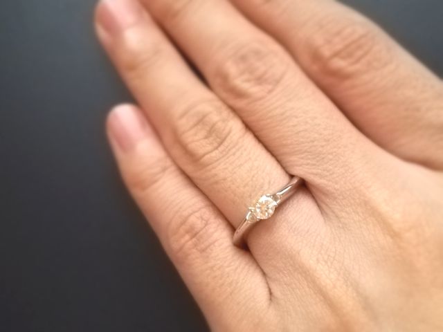 正面から見た様子